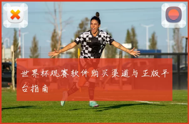 世界杯观赛软件购买渠道与正版平台指南