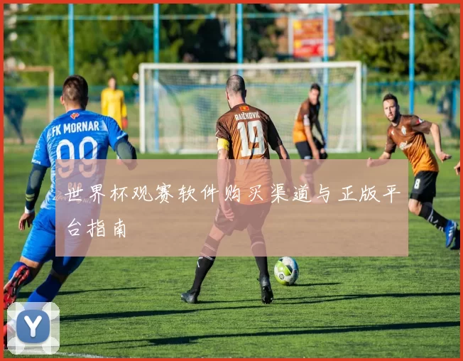 世界杯观赛软件购买渠道与正版平台指南